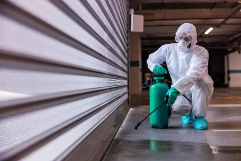 General pest control service in Dubai