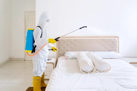 Bed bugs pest control in Dubai