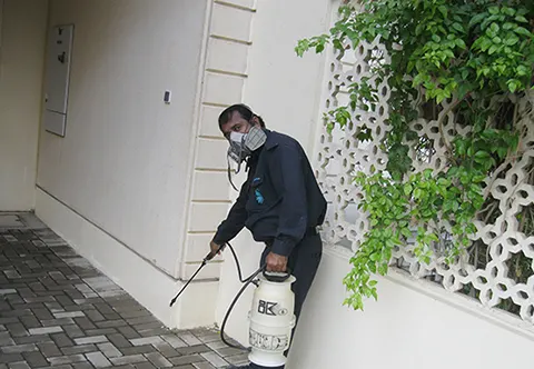 Southern Express pest control work in Dubai, photo 1