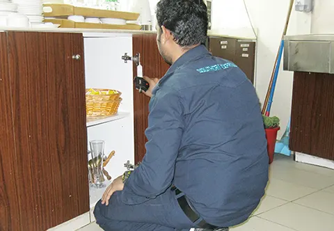 Southern Express pest control work in Dubai, photo 10