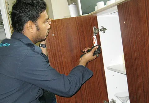 Southern Express pest control work in Dubai, photo 12