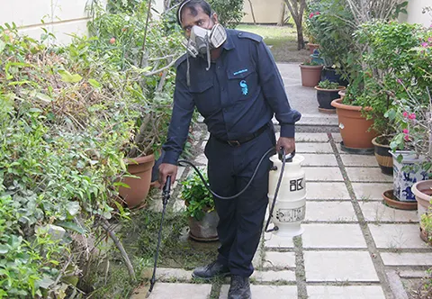Southern Express pest control work in Dubai, photo 2