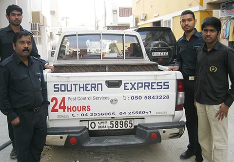 Southern Express pest control work in Dubai, photo 4