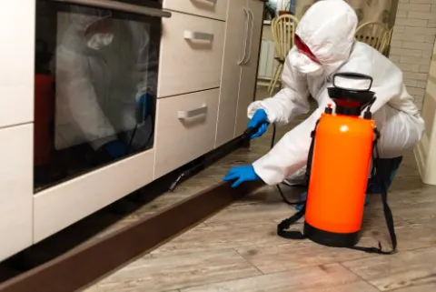 Cockroach Pest Control