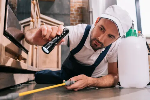 Pest control worker spraying under kitchen units
