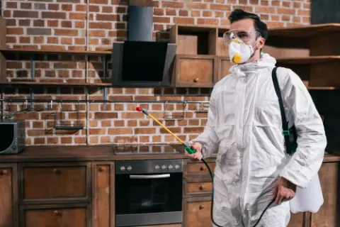 Pest control worker with sprayer in a kitchen